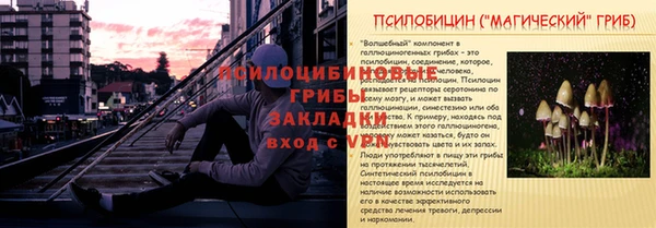 2c-b Богданович